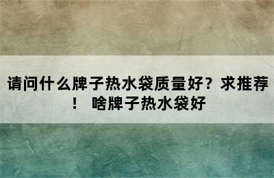 请问什么牌子热水袋质量好？求推荐！ 啥牌子热水袋好